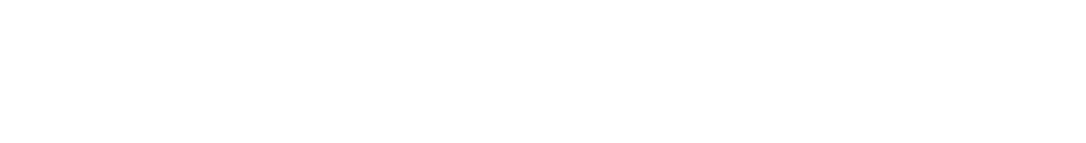 Raider 125logo image